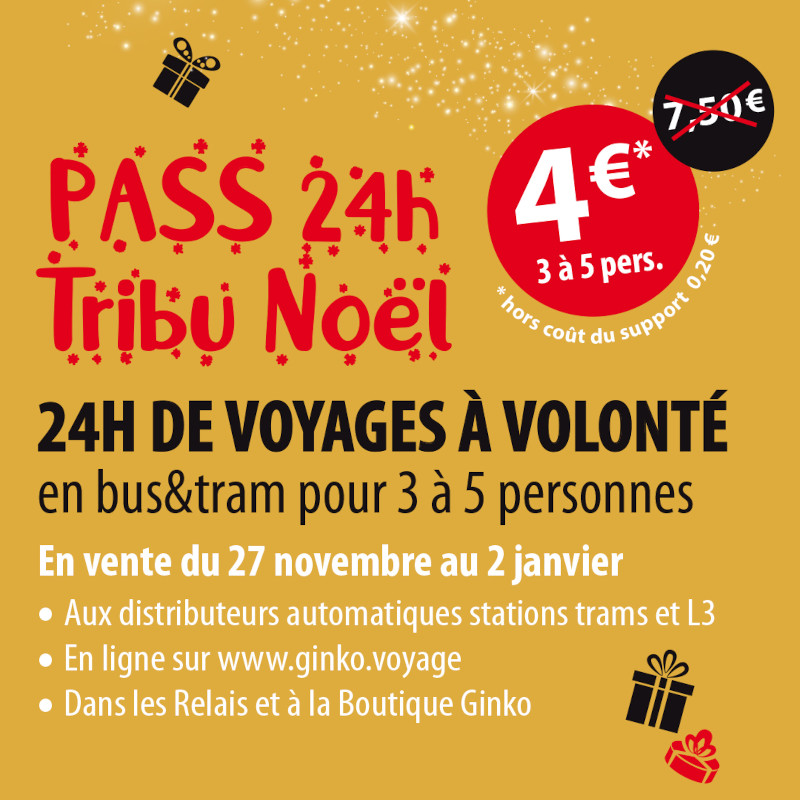 Pass ginko 24H tribu Noël à 4€ !