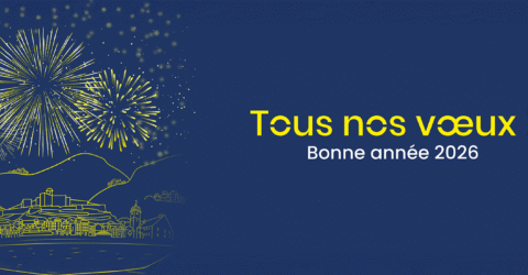 Tous nos voeux ! Bonne année 2026